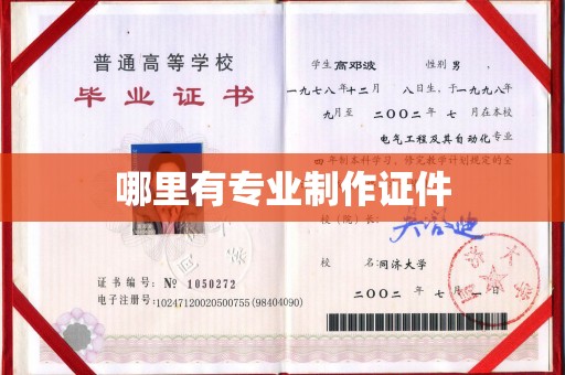 西湖哪里有专业制作证件