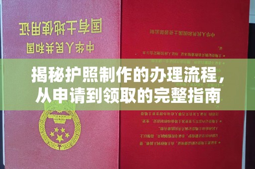 西湖揭秘护照制作的办理流程，从申请到领取的完整指南