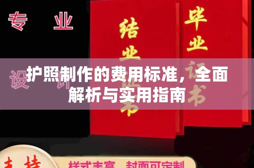西湖护照制作的费用标准，全面解析与实用指南