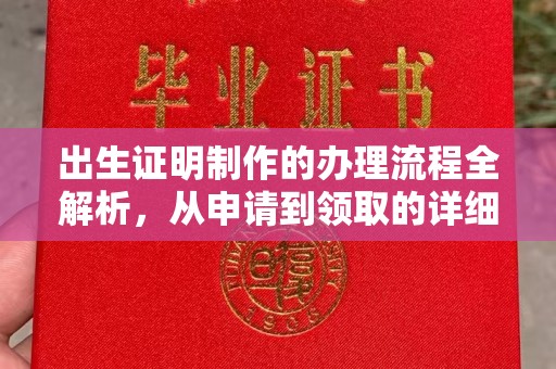 西湖出生证明制作的办理流程全解析，从申请到领取的详细指南